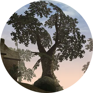 Morrowind Screenshots
