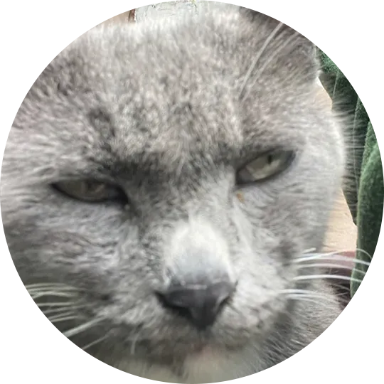 Скринджо
